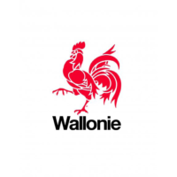 Logo Region wallonne